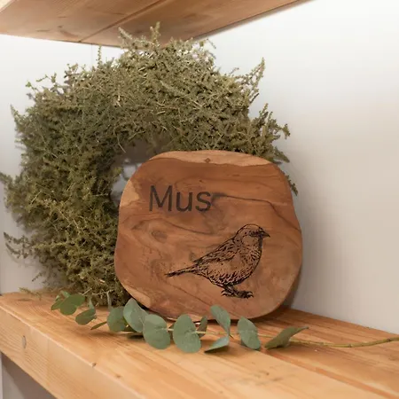 Het Groeneveld Lejlighed